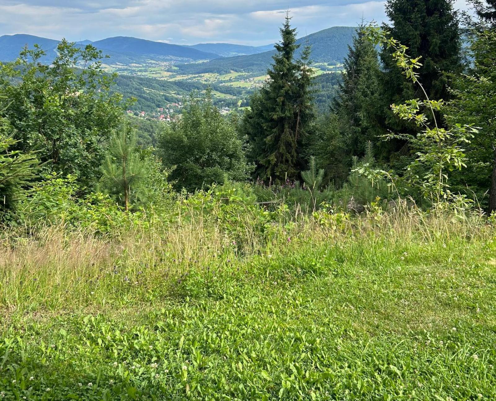 Gosciniec Pod Lubomirem Bed and Breakfast Weglowka  Buitenkant foto